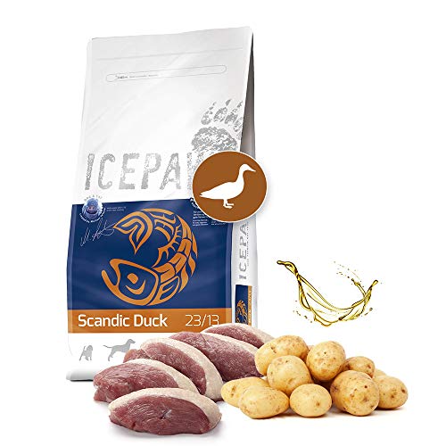 ICEPAW I High Premium Trockenfutter I Scandic Duck 4 x 2 kg I Mit Ente und Kartoffeln I getreidefrei I Für futtersensible Hunde
