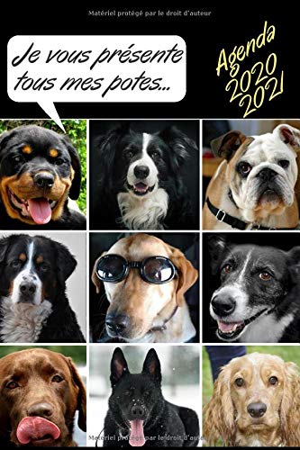Agenda 2020 2021: Agenda chien scolaire 2020 2021 | Agenda 2020 2021 collège lycée chien | Agenda journalier semainier | Agenda garcon fille | Emploi ... | Agenda de septembre 2020 à septembre 2021