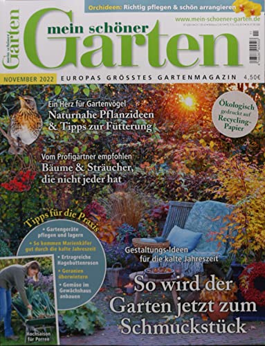 Mein schöner Garten 11/2022 "So wird der Garten jetzt zum Schmuckstück" Cover