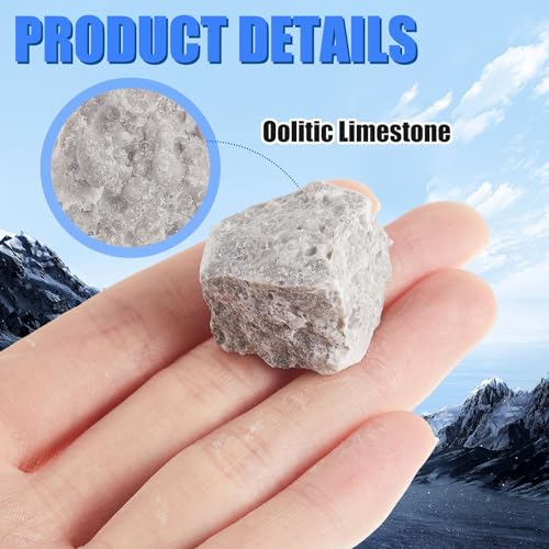 Image of Tandefio 24 Pack Oolitic Limestone 1 inch Limestone Rock Sedimentary Rock Specimens for Aquarium Experiment Back to School Science Classrooms Class Teaching Aid, Ages 8 up