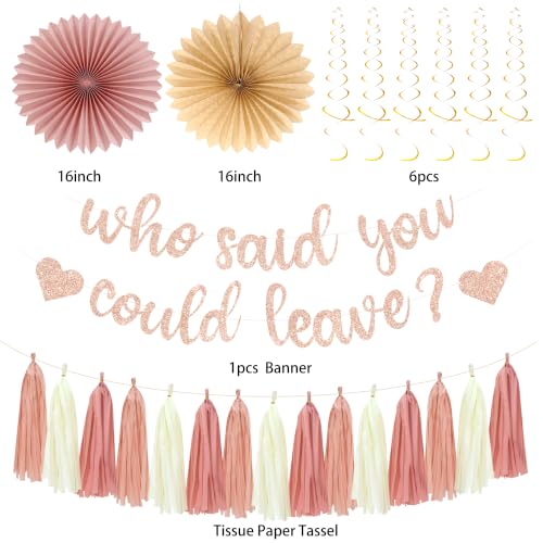 Image of Roetyce Farewell Party Decorations Women, Pink Glitter Who Said You Could Leave Banner, Blush Pink Going Away Leaving Goodbye Party Supplies for Coworker Friends, Retirement Photo Backdrop Background