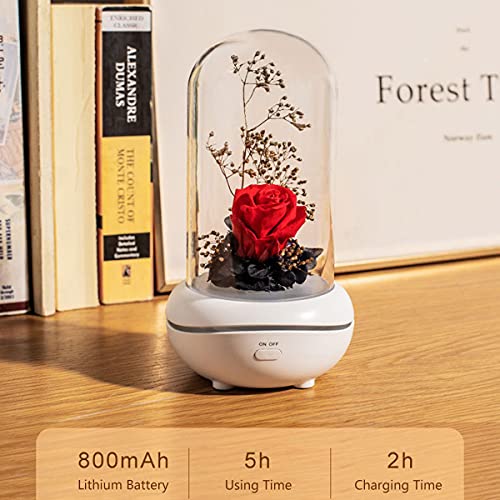 Difusor aromático eléctrico Eternal Rose con luz nocturna USB miniatura 5