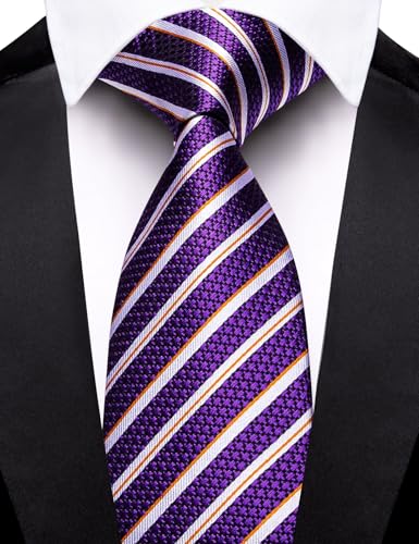Image of Barry.Wang Silk Men Ties Formal Stripes Necktie and Tie Clip for Wedding Party Business Fashion Classic