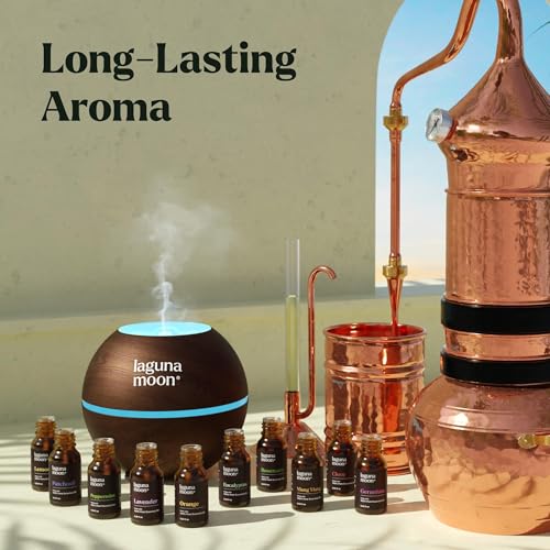 Image of Essential Oils Set - Top 10 Gift Set Blends for Fragrance, Diffusers, Humidifiers, Aromatherapy, Cars & Home Products, Room Sprays, Candle Making, Yoga - Fragrance Oils for Botanical Fresheners Making