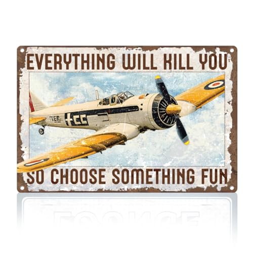 Doodlream Plaque en métal en forme d'avion - Décoration...