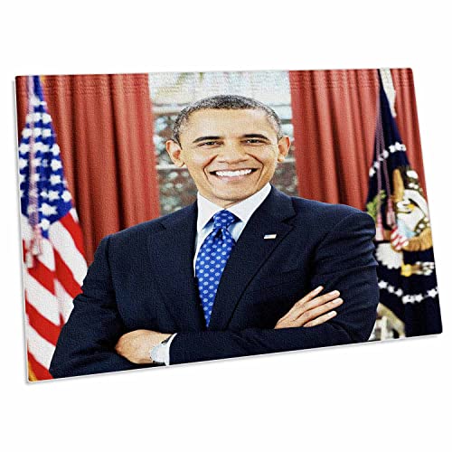 3dRose USA President Barack Obama. White House. - Pad de escritorio