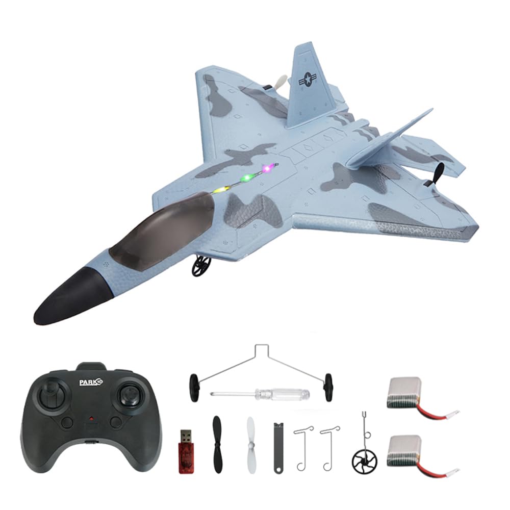 Amazon.com: Park10 Toys P530 RC Airplane, F22 Raptor Model