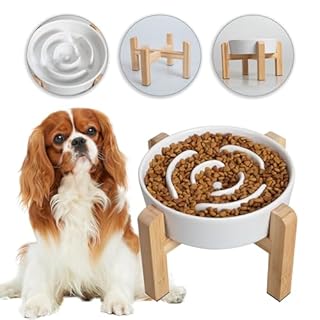Elevated Slow Feeder Dog Bowl - Ceramic Maze Food Dish with Bamboo Stand - Raised Feeding Bowl for Fast Eaters - Ideal for Small and Medium Dogs - White - 6.7 inch