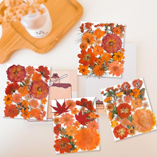 34 Types 144PCS Orange Dried Pressed Flowers with Butterfly Stickers - Youthbro Real Nature Flowers Set for Resin DIY Jewelry Candle Soap Vase Making Nail Card Scrapbook Art Craft Floral Decors by YouthBro - Image 2