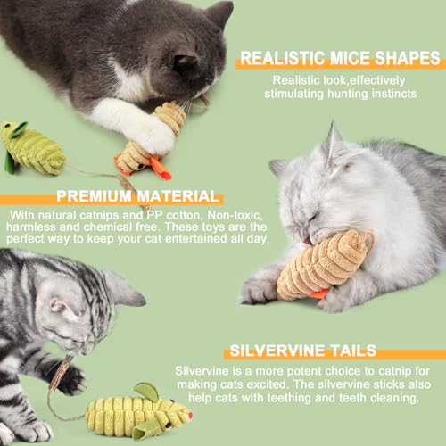 Jouet pour Chat Souris Jouets Herbe à Chat Bâtonnets Herbe à Chat Matatabi Baton Peluche Jouets pour Chats Intérieur (10 Pcs) – Image 6
