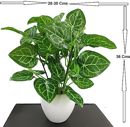 Image of Natural Looking Artificial Money Plant /Tree with Pot | Ornamental Plant for Interior Decor | Home /Shop /Office Decor (Green)