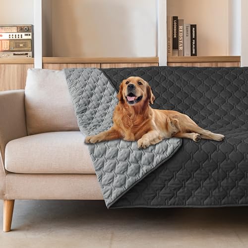 gogobunny-100-Double-Sided-Waterproof-Dog-Blanket-Soft-Pet-Bed-Cover-Reversible-Protect-Furniture-Couch-Sofa-Car-for-Puppy-Large-Dog-Cat-Dark-CharcoalLight-Charcoal-52x82-Inch-Pack-of-1 - Cucciolini Doodles   gogobunny-100-Double-Sided-Waterproof-Dog-Blanket-Soft-Pet-Bed-Cover-Reversible-Protect-Furniture-Couch-Sofa-Car-for-Puppy-Large-Dog-Cat-Dark-CharcoalLight-Charcoal-52x82-Inch-Pack-of-1