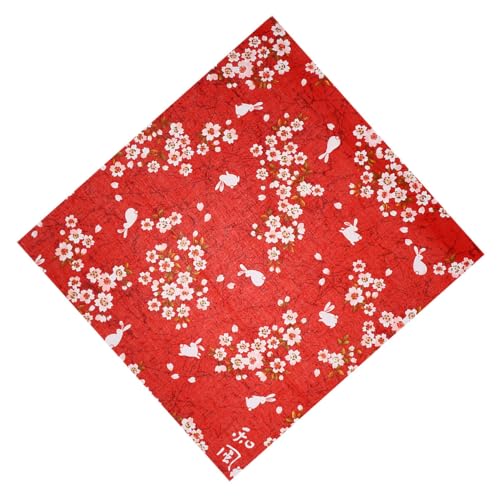 HOUDERCO aC~ Ԋԙ\ bsO ٓ݌p e[uNX`}bg @\^nJ`