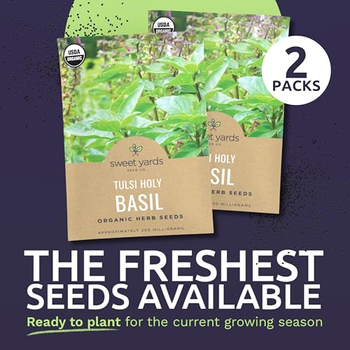 Organic Holy Basil Seeds ‘Tulsi’ – Two Seed Packets! – Over 1,706 Open Pollinated Non-GMO Seeds – Sweet Yards Seed Co. - Image 6