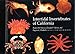 Intertidal Invertebrates of California
