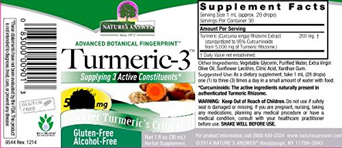 Nature's Answer Turmeric-3 Liquid, 1-Fluid Ounce | Supports Joints