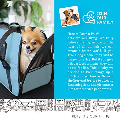 Paws & Pals Airline Approved Pet Carriers With Fleece Bed For Dog & Cat, Large, Mineral Blue #TOP5