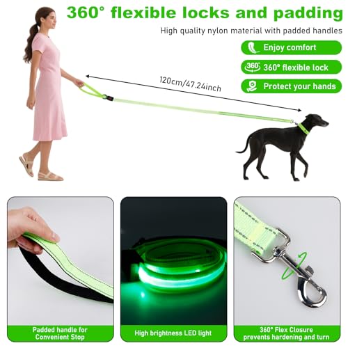 Behogan LED Hundeleine, 1.2M Wasserdicht Nylon LED Hundeleine, USB Wiederaufladbar Lichtfunktion Hundeleine Reflektierend, Clip Lampe für Nächtliche Spaziergänge (Grün)