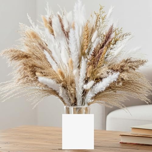 Yiomxhi 95 Pièces Pampa Séchées Naturelles Décoration, Bouquet Fleurs Séchées Duveteuses Blé pour Rustique Boho Table Maison Mariage Décor d’Hiver