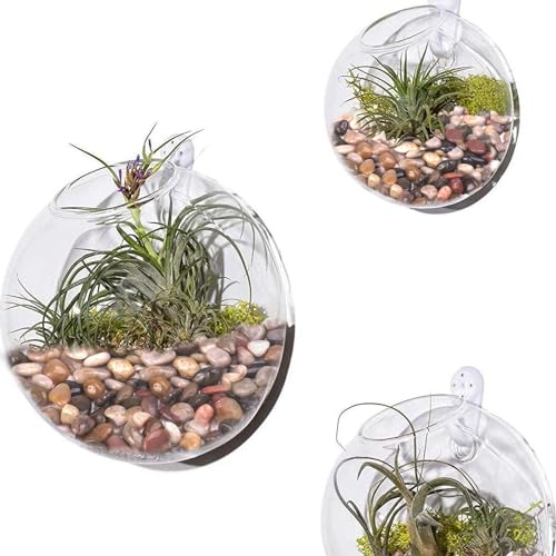 Image of Pulovin 2.5 Pound Decorative Stones, 1-1 1 /2 inch, River Rocks for Plants Indoor Drainage, Small Polished Natural Pebbles for Crafts, Vases, Garden and DIY Decor