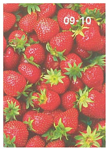 Télécharger Letts Agenda scolaire 09–10 fraises 12 mois A6 Jour par page livre En ligne