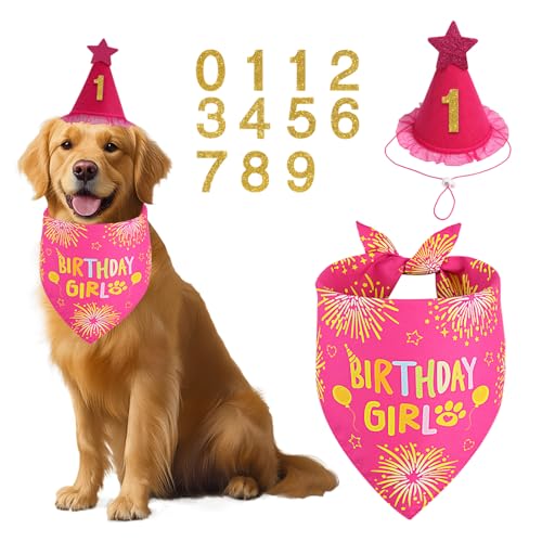 Agroon Dog Birthday Party Supplies, Rose Pink Dog Birthday Set with Hat Bandana Numbers for XLarge Large Girl Pets Puppy