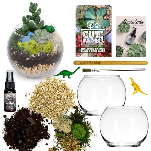 Succulent Terrarium Kit
