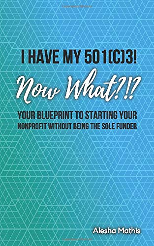 I HAVE MY 501(C)3! NOW WHAT?!?: Your Blueprint to Starting Your Nonprofit Without Being the Sole Funder