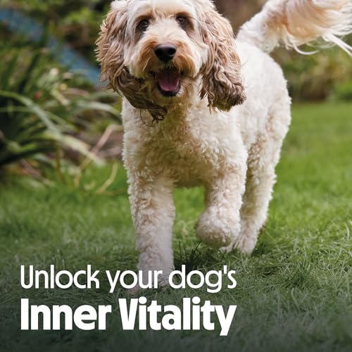 Tails.com • Wet Dog Food 33 x 150g • Variety Bundle Multipack 65% Chicken, 60% Beef and 60% Poultry & Game • Adult 1-7 years • Grain Free Recipes • Made with natural ingredients - Image 9