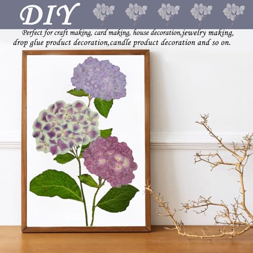 Flores secas de hortensia moradas con tallo 42PCS miniatura 6