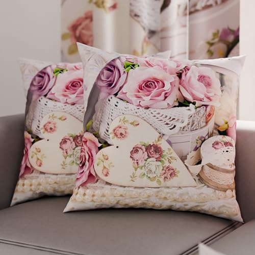 PETTI Artigiani Italiani - Coppia di Federe Cuscino 50x50 cm in Microfibra, Cuscini Arredo Camera da Letto, Divano, Salotto, Set 2 Fodere Copricuscino, Federa Shabby 328, 100% Made in Italy