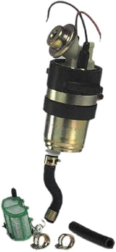 Carter Fuel Systems Carter - Juego de bomba de combustible y colador de repuesto automotriz (P72060)