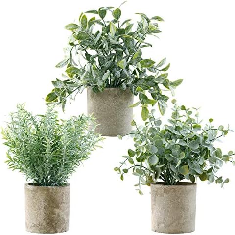 Gleenwave Artificial Plants 3 Potted Mini Fake Plants Artificial Eucalyptus Decorative Plants for Home Decor Indoor Room Table Office