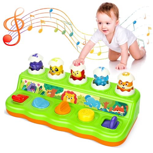 Duchong-Interactive-Pop-up-Toys-for-1-Year-Old-Boy-Girl-Montessori-Cause-and-Effect-Toys-with-Music-Light-Early-Learning-Musical-Toys-for-Toddlers-1-3-Gift-for-Infants-9-12-18-Months