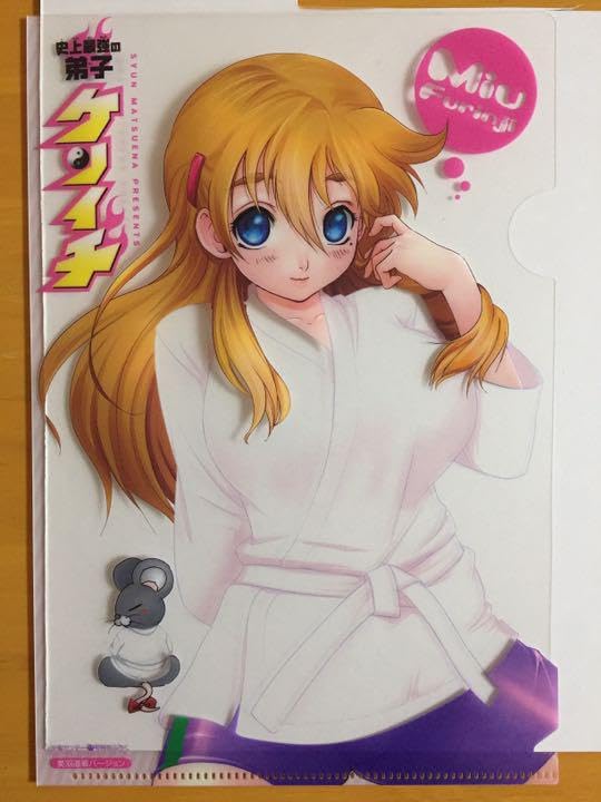 Amazon.co.jp: 風林寺美羽 A5クリアファイル 史上最強の弟子ケンイチ