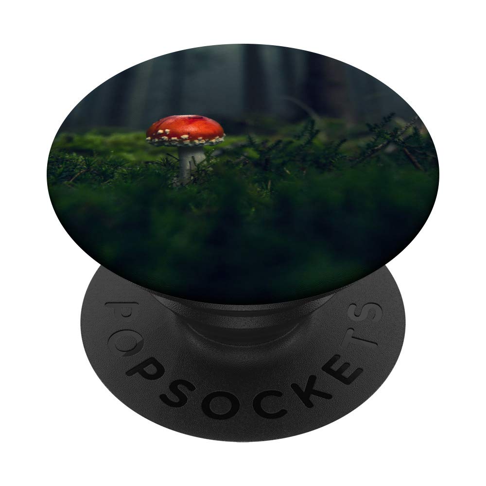 Dark Forest Mushroom