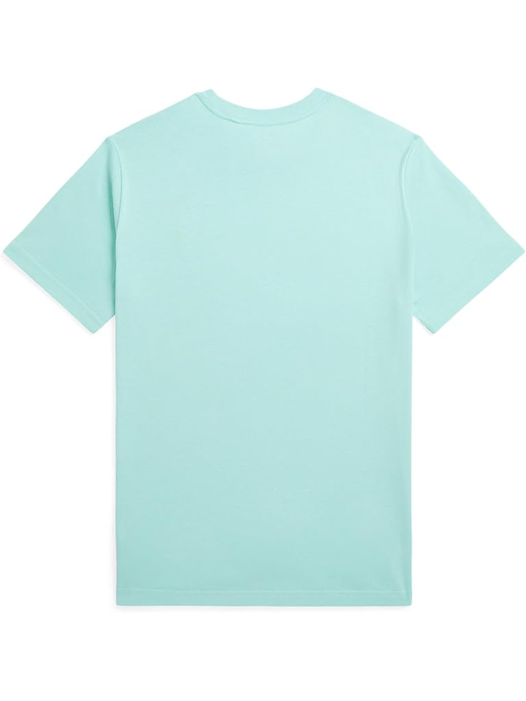 Multi Polo Ralph Lauren Cotton Jersey Crew Neck Tee (Big Kid)