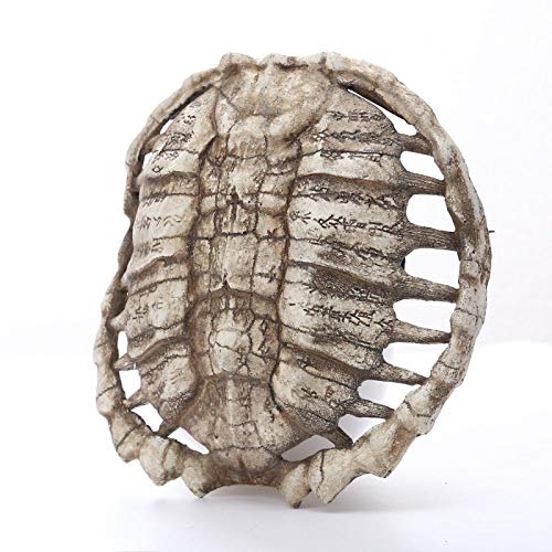 Résine murale écaille de tortue, cadeau idéal pour passionnés - 2