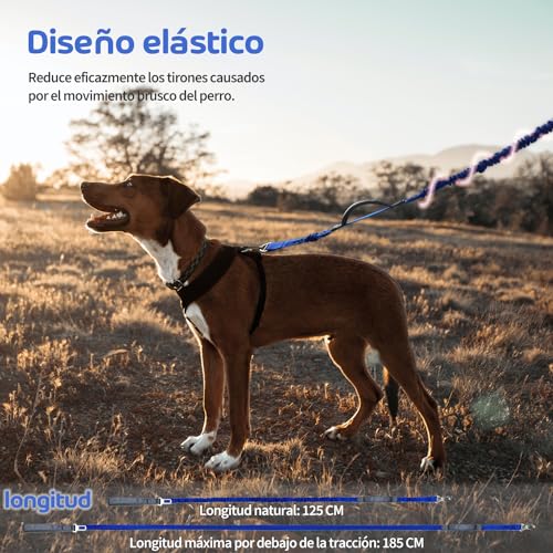 Mascotas, Pet Products Imagen adicional
