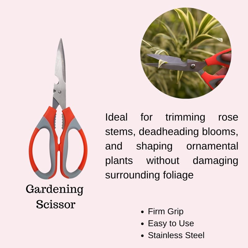 Image of 6 in 1 Gardening Tool Set - Trowel, Fork, Cultivator, Khurpi, Pruner & Gloves with Wooden Handle for Digging, Planting, Weeding & Pruning
