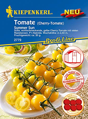 Preisvergleich Produktbild Tomaten Cherrytomate Summer Sun F1