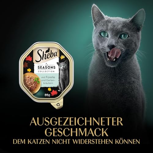 Sheba Schale Seasons Collection 2 x 11 x 85g
