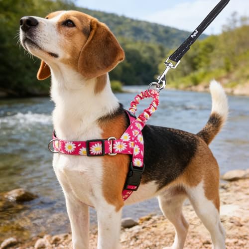 Image of PUPTECK No Pull Dog Harness Small Sized Dog, Adjustable Reflective Pet Vest Harness with Bungee Handle, Escape Proof No Choke Harness for Small Dogs Walking Training, Fuschia Daisy S
