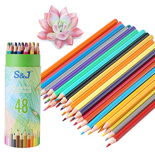 48 Count Colored Pencils for Adult Kids Art Pencils Drawing Pencils Professional Arts and Crafts Set Vivid Colors Pastel Pencils Markers for Artists Beginners No Wood Pencils Christmas Gift