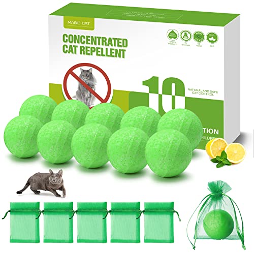Top 10 Cat Repellent For Garden of 2022 Katynel