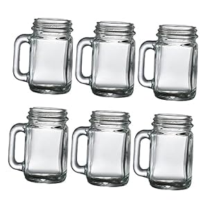 Greenadscape Mini Mason Likörgläser 6er Set