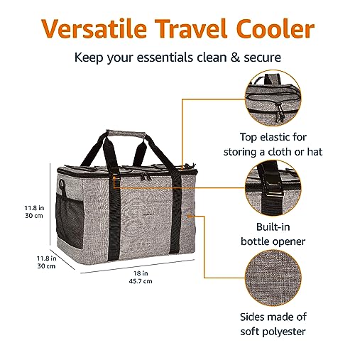 Amazon-Basics-Soft-Insulated-Cooler