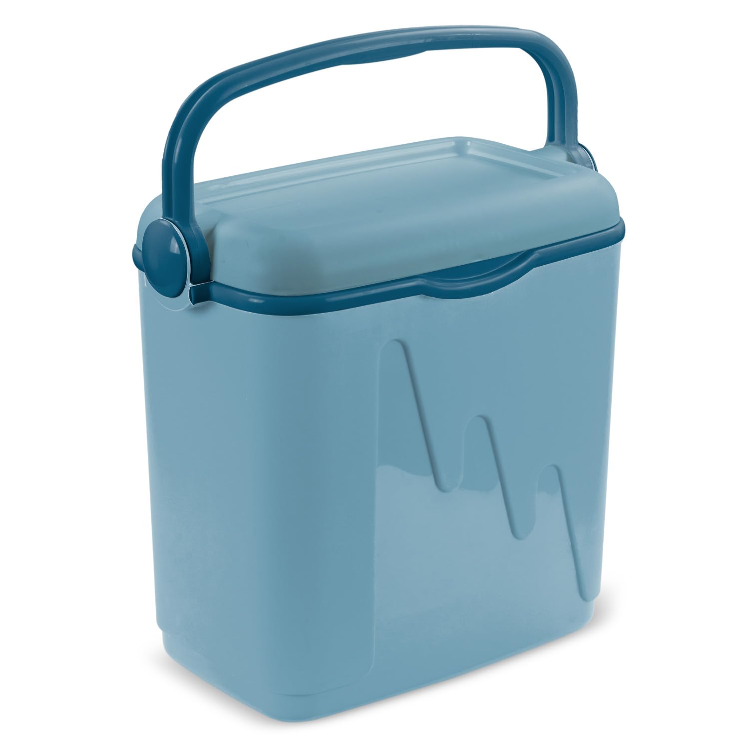 Curver Nevera RIGIDA 20L, portátil, con asa,Ideal Camping, Playa, Picnic