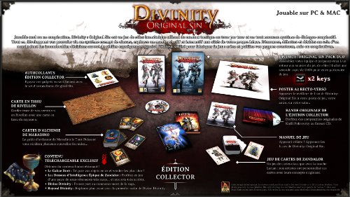 Divinity Original Sin Edition Collector Pc - vue 3