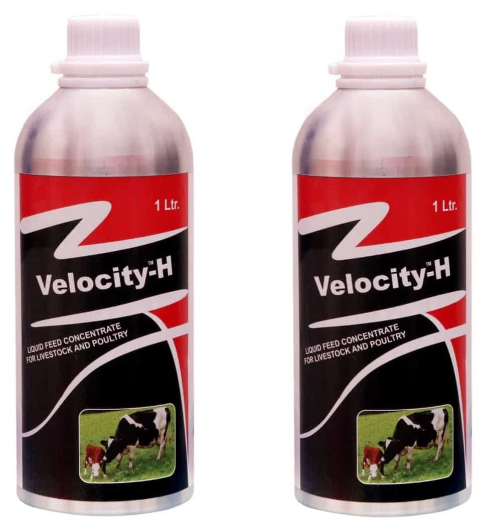 See full amazon price history chart for Pharma Velocity-H Veterinary feed Supplement for Cow Cattle Poultry & Livestock Animals 1 liter(Pack of 2) Pharma Velocity-H Veterinary feed Supplement for Cow Cattle Poultry & Livestock Animals 1 liter(Pack of 2) (B0B7BFVJGP) Amazon Price History, Amazon Price Tracker